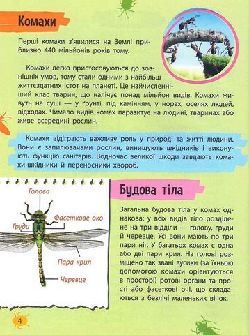 Мініенциклопедія. Комахи та павуки - фото 3