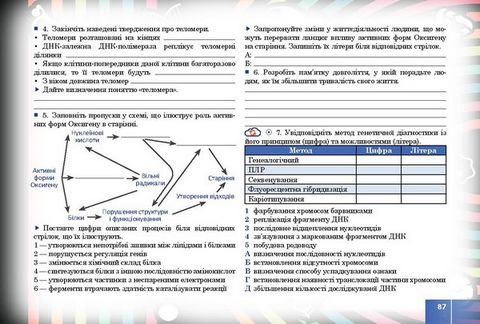 Біология і екологія. 10 клас. Робочий зошит - фото 6