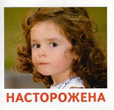 10441.Картки міні. Емоції та почуття - фото 3