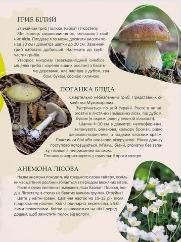 Перлини природи України - фото 2