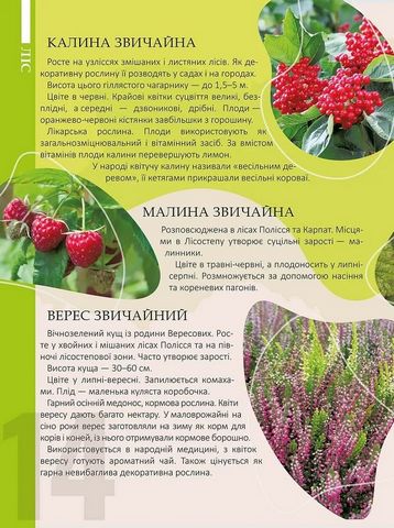Перлини природи України - фото 3