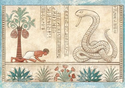 Сказки и повести Древнего Египта - фото 2