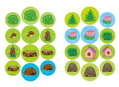 Граємо в хованки. З дикими тваринами - фото 3