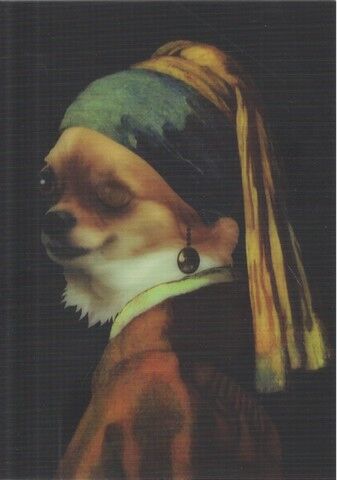 VERMEER / WITH DOG FACE ( ART / ANIMALS ) - фото 1