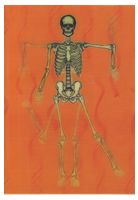 DANCING SKELETON ANATOMICAL