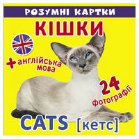 Розумні картки. Кішки - Ранее развитие (0-4 года)
