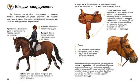 Коні. Енциклопедія дошкільника - фото 4