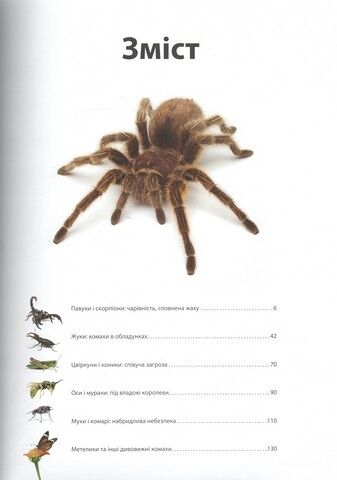 Велика книга комах - фото 3