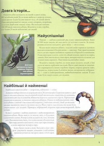Велика книга комах - фото 5