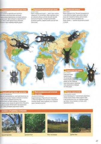 Велика книга комах - фото 7