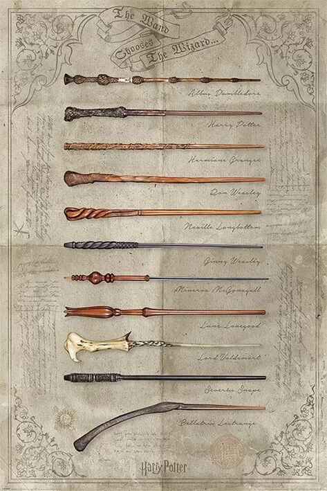 Harry Potter - The Wand Chooses The Wizard (Постер)