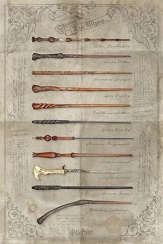 Harry Potter - The Wand Chooses The Wizard (Постер) - фото 1