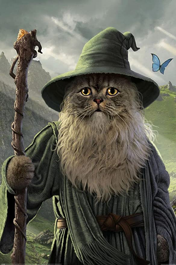 Catdalf (Постер)