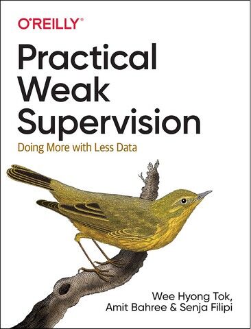 Practical Weak Supervision: Doing More with Less Data....