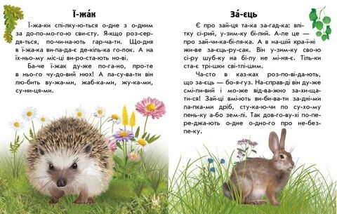 Читаю про Україну. Тварини лісів - фото 2