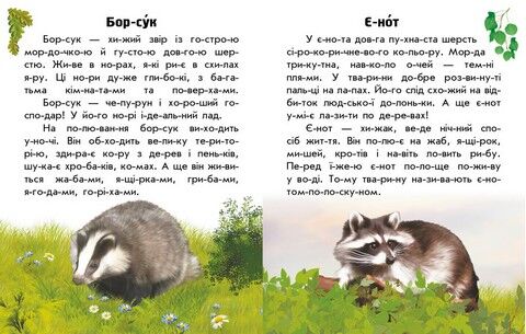 Читаю про Україну. Тварини лісів - фото 4