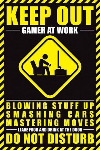 Gamer At Work (Постер) - фото 1