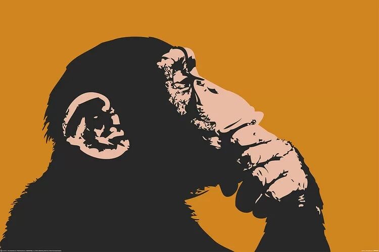 Monkey - Thinking (Постер)