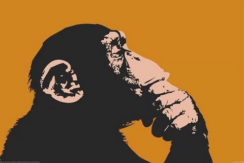 Monkey - Thinking (Постер) - фото 1