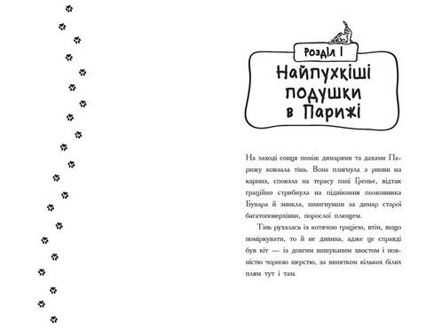 Детективи з вусами. Книга 3. Хто вкрав золотого кота? - фото 5