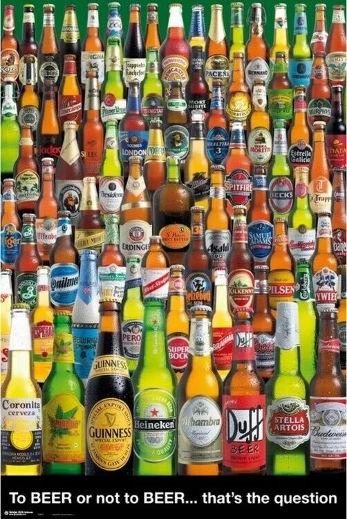 To Beer Or Not To Beer (Постер)