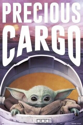 Star Wars The Mandalorian - Precious Cargo (Постер) - фото 1