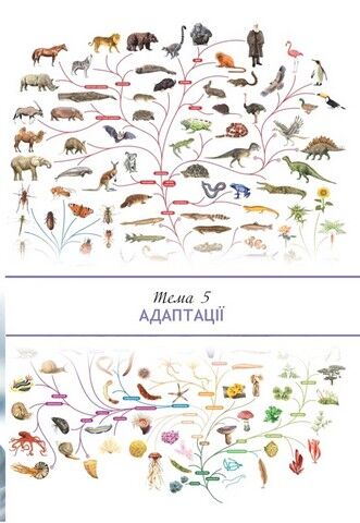 Біологія і  екологія. 11 клас. Підручник. Рівень стандарту - фото 2
