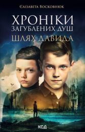Хроніки загублених душ (Електронна книга) - Современная проза