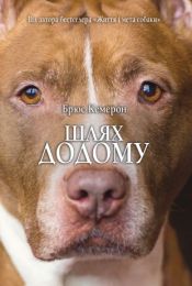 Шлях додому (Електронна книга)