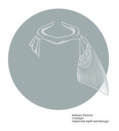 Войцех Бжоска. Стожари (Електронна книга) - Поэзия