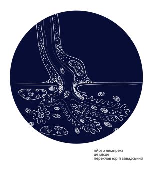 %D0%A6%D0%B5+%D0%BC%D1%96%D1%81%D1%86%D0%B5+%28%D0%95%D0%BB%D0%B5%D0%BA%D1%82%D1%80%D0%BE%D0%BD%D0%BD%D0%B0+%D0%BA%D0%BD%D0%B8%D0%B3%D0%B0%29 - фото {NUM}