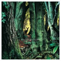 David Sylvian – Manafon (Vinyl) - Electronic