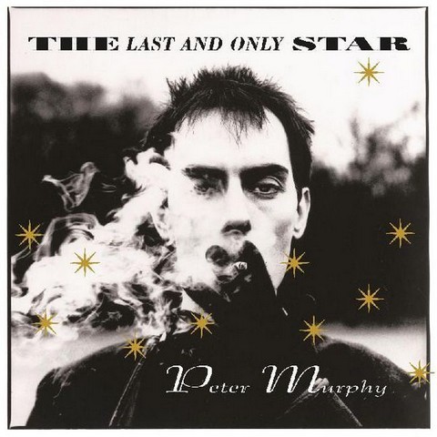 Peter Murphy – The Last And Only Star (Vinyl) - фото 1