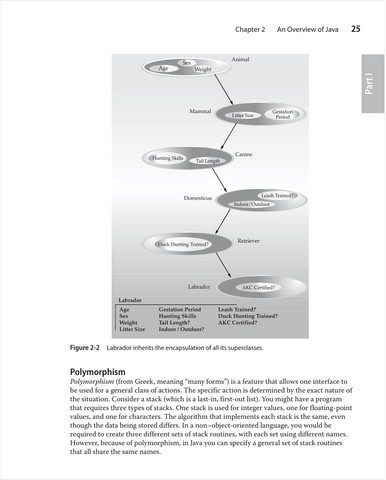 Java: The Complete Reference, Twelfth Edition 12th Edition - фото 2
