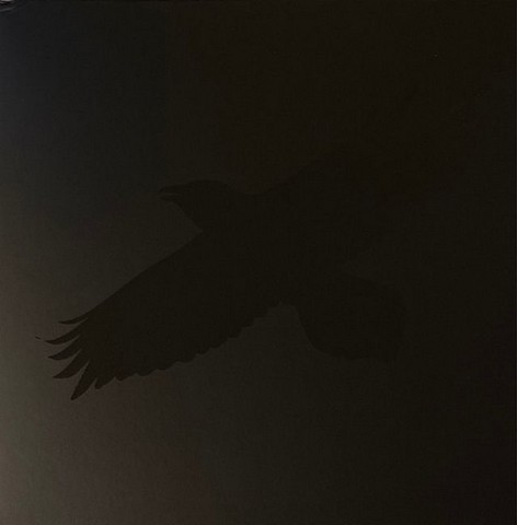 Sigur Ros With Steindor Andersen, Hilmar Orn Hilmarsson And Maria Huld Markan Sigfusdottir – Odins Raven Magic (Vinyl) - фото 1