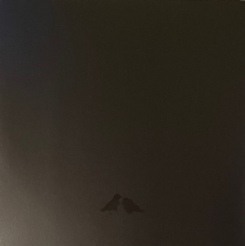 Sigur Ros With Steindor Andersen, Hilmar Orn Hilmarsson And Maria Huld Markan Sigfusdottir – Odins Raven Magic (Vinyl) - фото 2