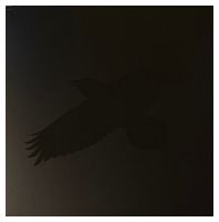 Sigur Ros With Steindor Andersen, Hilmar Orn Hilmarsson And Maria Huld Markan Sigfusdottir – Odin's Raven Magic (Vinyl) - Classical