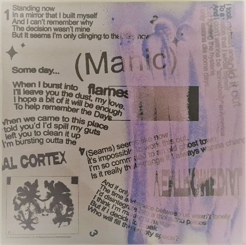 Halsey – Manic (Vinyl) - фото 4