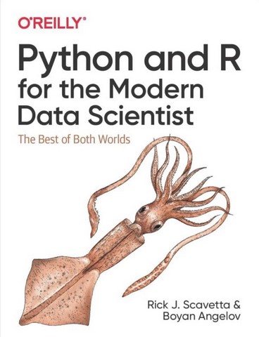 Python and R for the Modern Data Scientist: The Best of Both Worlds - фото 1