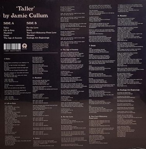 Jamie Cullum - Taller (Vinyl) - фото 2