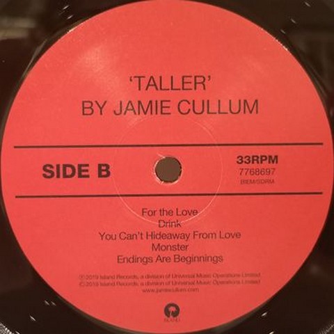 Jamie Cullum - Taller (Vinyl) - фото 6
