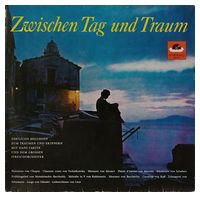 

Hans Carste Und Das Grosse Streichorchester – Zwischen Tag Und Traum (LP, Compilation, Vinyl)