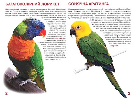 Велика книжка. Папуги - фото 2