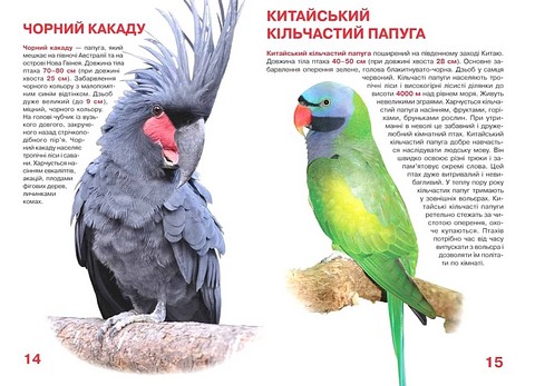 Велика книжка. Папуги - фото 3