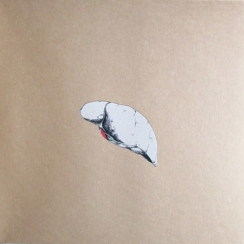 Swans – The Beggar (2LP, Vinyl) - фото 4