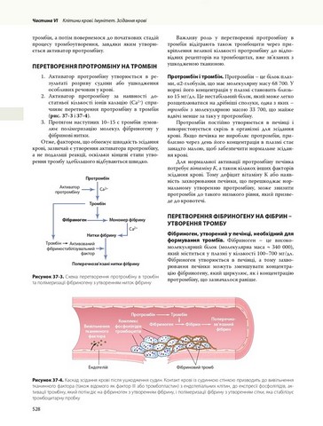 Медична фізіологія за Ґайтоном і Голлом. У 2 томах. Том 1. 14-е видання - фото 5