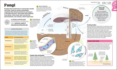 How Biology Works. The Facts Visually Explained - фото 8