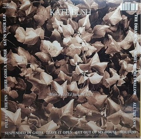 Kate Bush - The Dreaming (LP, Album, Reissue, Remastered, 180g, Vinyl) - фото 2