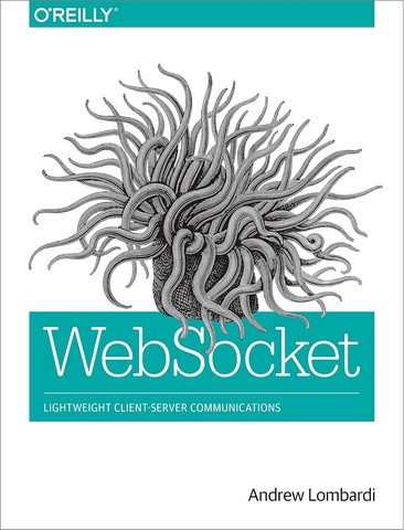 WebSocket Lightweight Client-Server Communications - фото 1