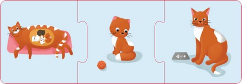 Логічні ланцюжки. Тварини і рослини. Етапи розвитку - фото 4